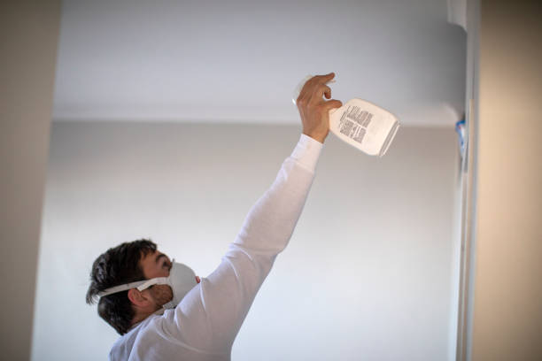 Best Mold Removal Company Near Me  in Golden Grove, SC