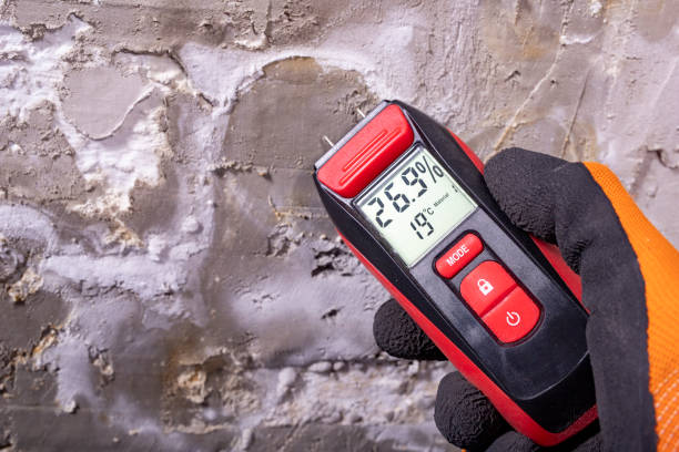 Professional Mold Removal in Golden Grove, SC