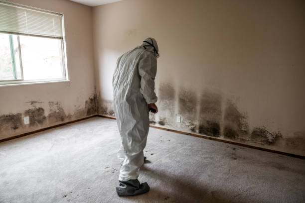 Best Commercial Mold Removal  in Golden Grove, SC